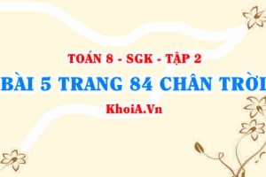 Bài 5 trang 84 Toán 8 Chân trời sáng tạo Tập 2